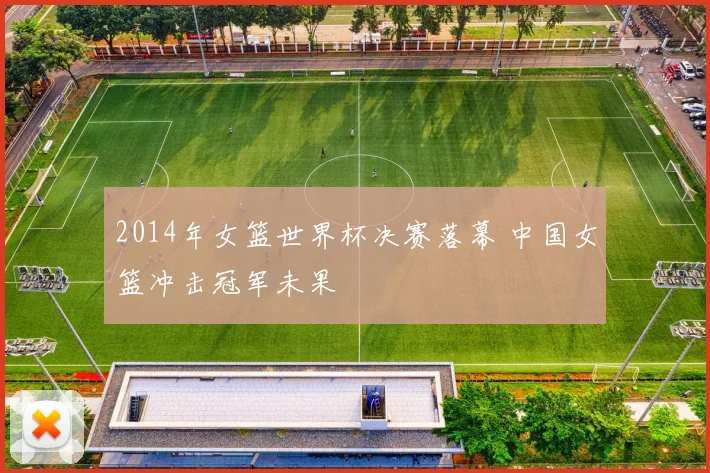2014年女篮世界杯决赛落幕 中国女篮冲击冠军未果