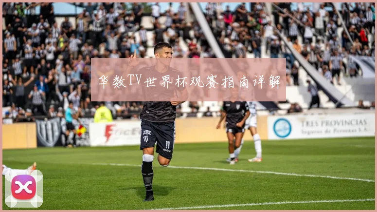 华数TV世界杯观赛指南详解