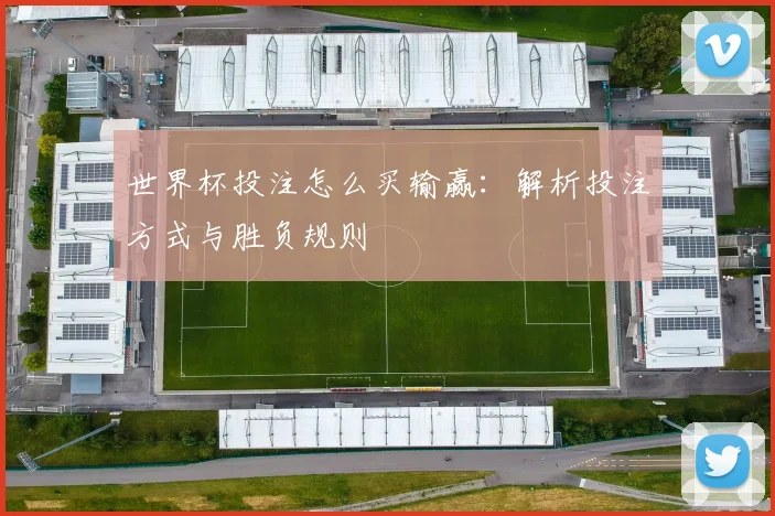 世界杯投注怎么买输赢:解析投注方式与胜负规则